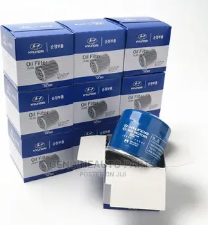 Original Kia Hyundai Oil Filter. Suitable for All Kia Model