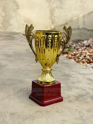 Original Trophies at Cool Price
