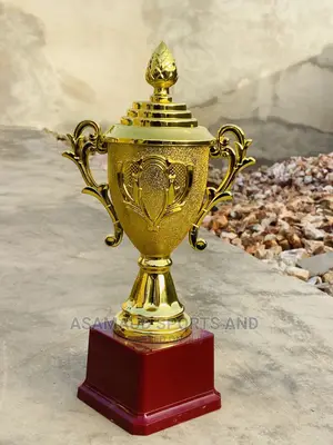 Original Trophies at Cool Price