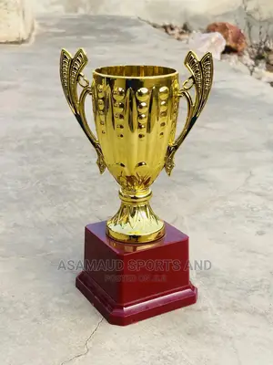 Original Trophies for Kids Awards at Cool Price