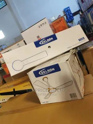 Affordable Delron Ceiling Fan