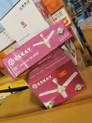Eskay Ceiling Fan