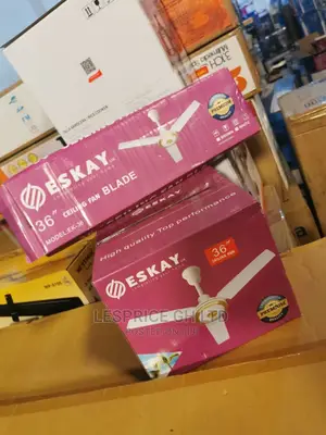 Perfect New Eskay Medium Ceiling Fan