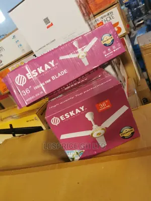 Wonderful Eskay Ceiling Fan Medium