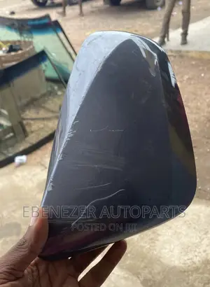 Lexus RX350 Mirror Cover