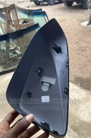 Lexus RX350 Mirror Cover