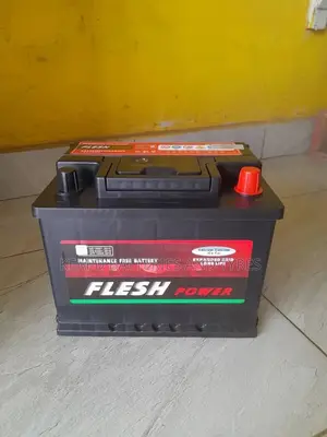 Flesh Power 13 Plates - Free Delivery