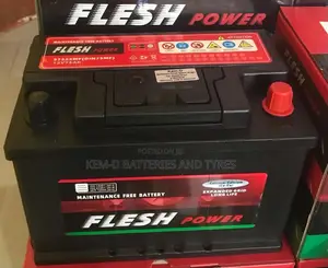 15 Plates Flesh Battery - Free Delivery