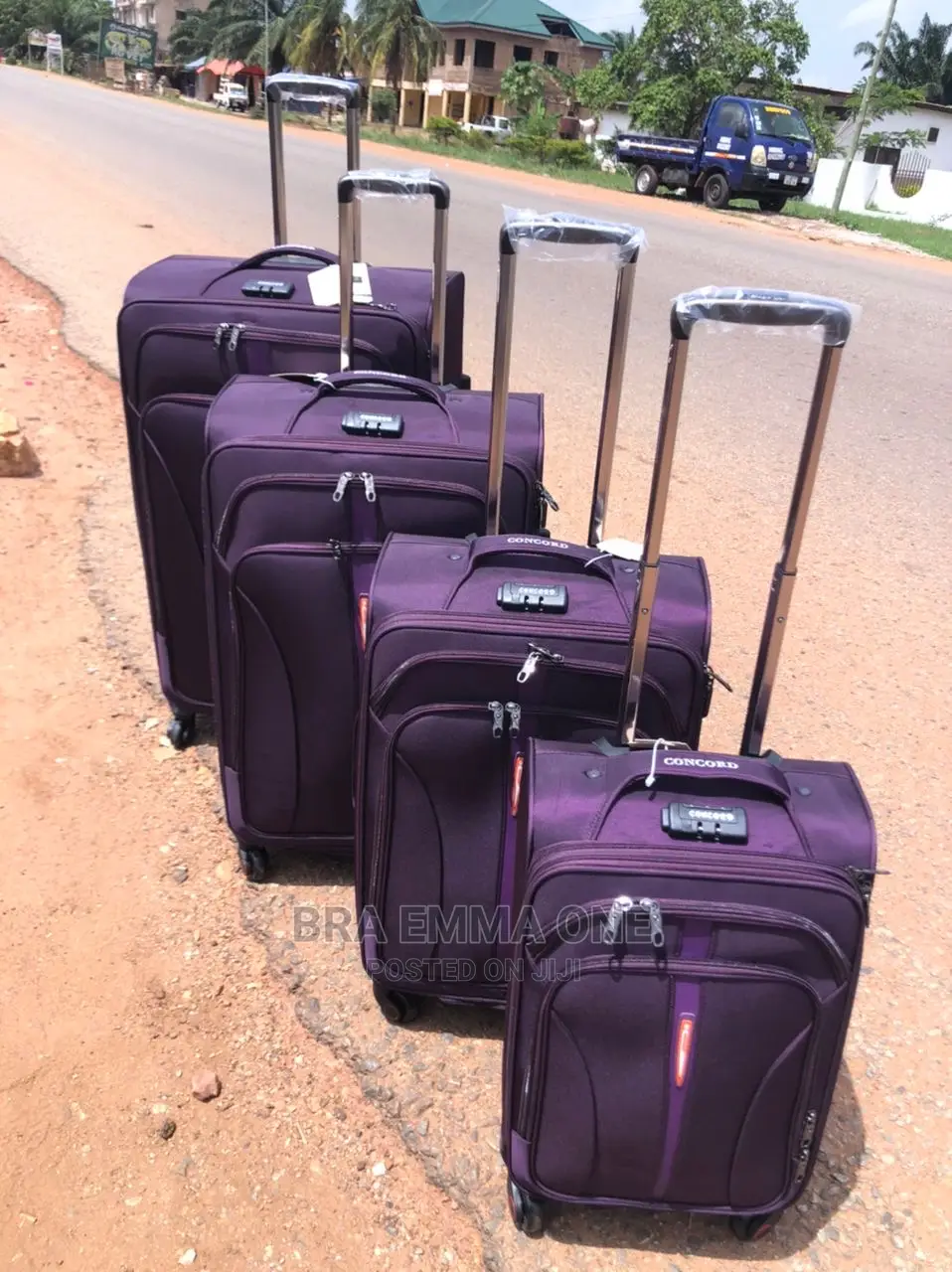 Set of Concord Traveling Bags