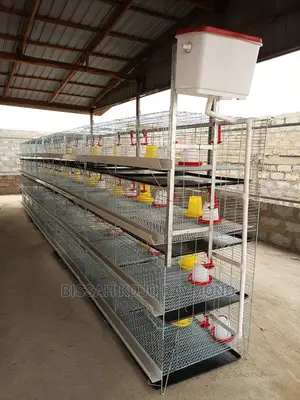 Day Old Cages