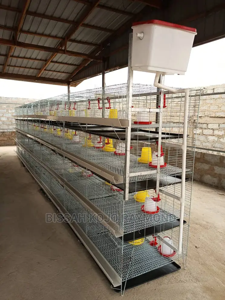 Day Old Cages
