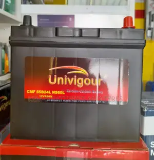 Vitz and Belta Battery