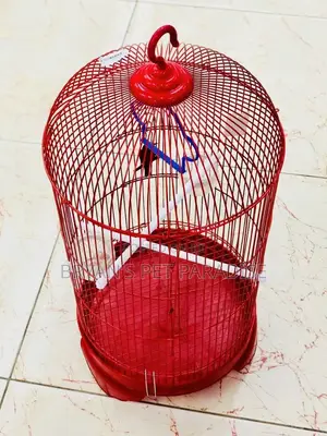 American Parrot Cages
