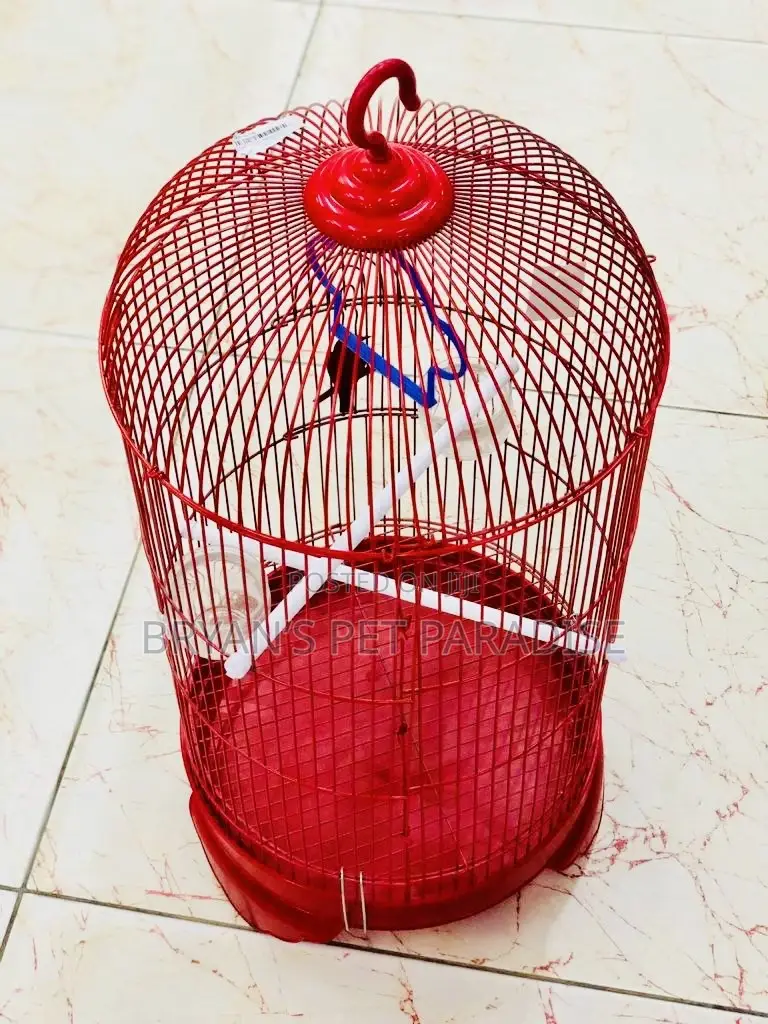 American Parrot Cages