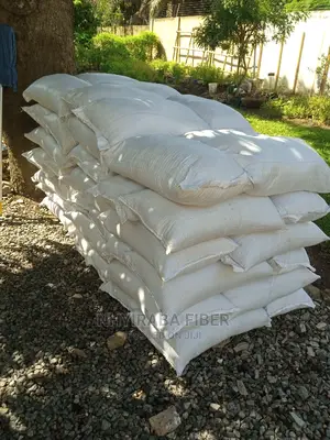 Cocopeat for Sale