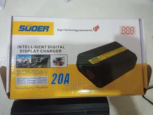 12v/24v 20A Intelligence Charger