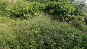 East Legon Hills Land for Sale 2 Acres of Land Titled