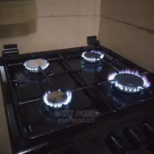 Repair of Gas Stove Burner Ovens (Chek Feedback FRM Clients