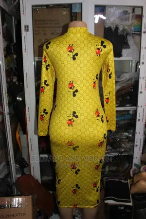 Beautiful Designer Ladies Bodycon Dress