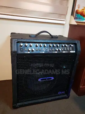 Carlsbro Colt 120 Keyboard Amplifier.
