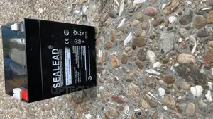 Top Edge Ups Battery 12/9