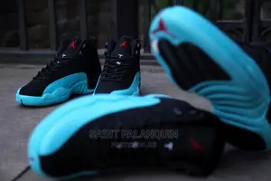 Air Jordan 12