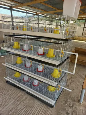 Day Old Cages