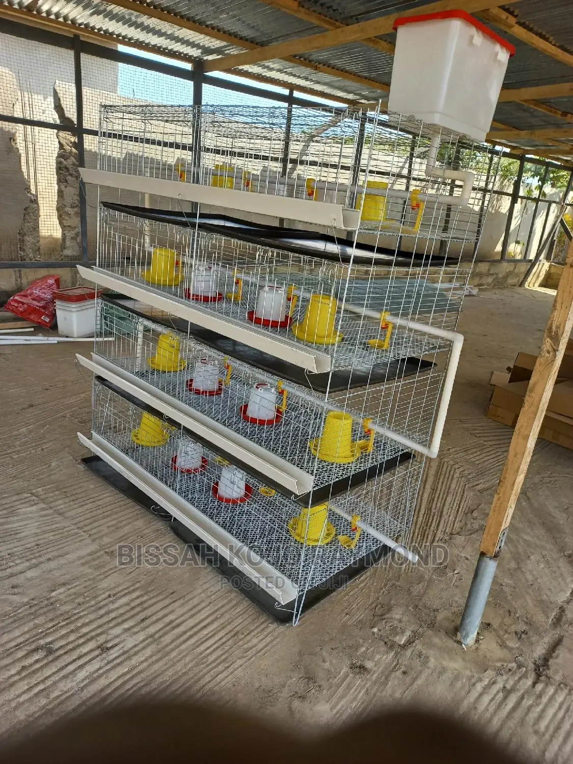 Day Old Cages
