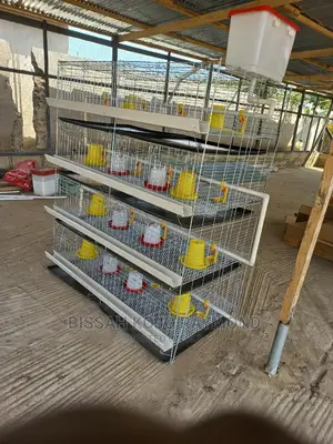 Day Old Cages