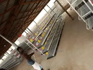 Day Old Cages