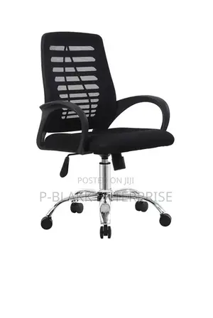 Ergonomic Office Chair