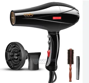 Professional Hair Dryer