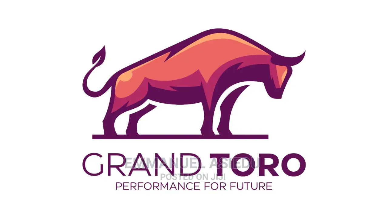Website Developer, Logo Designer and a Content Writer.