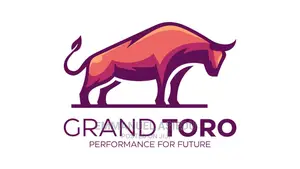 Website Developer, Logo Designer and a Content Writer.