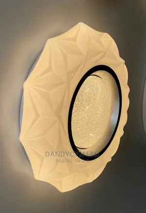 Ceiling Light