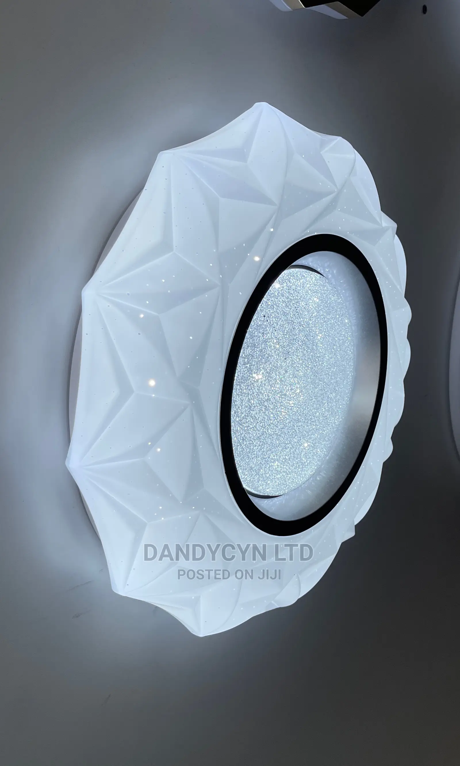 Ceiling Light