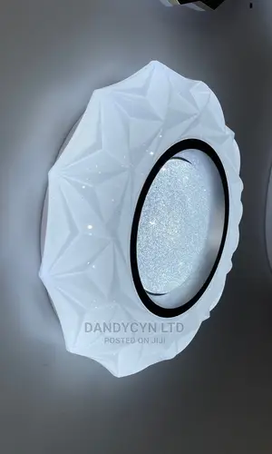 Ceiling Light