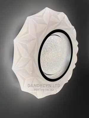 Ceiling Light