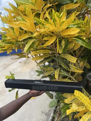 Maxbest Portable Soundbar