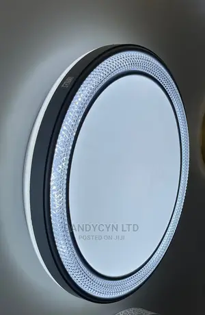 Led Ceiling Light 1033