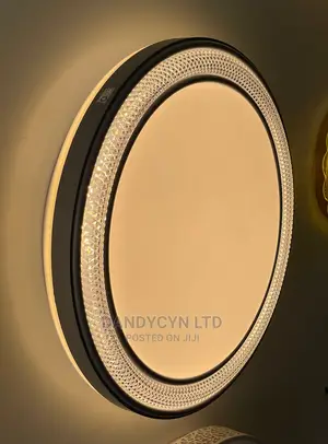 Led Ceiling Light 1033