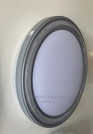 Led Ceiling Light 1033