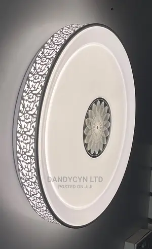 Led Ceiling Light 1039