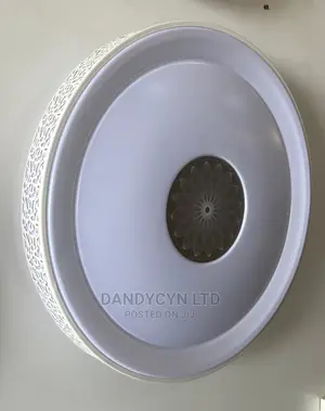 Led Ceiling Light 1039