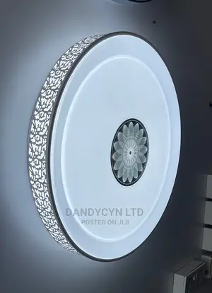 Led Ceiling Light 1039