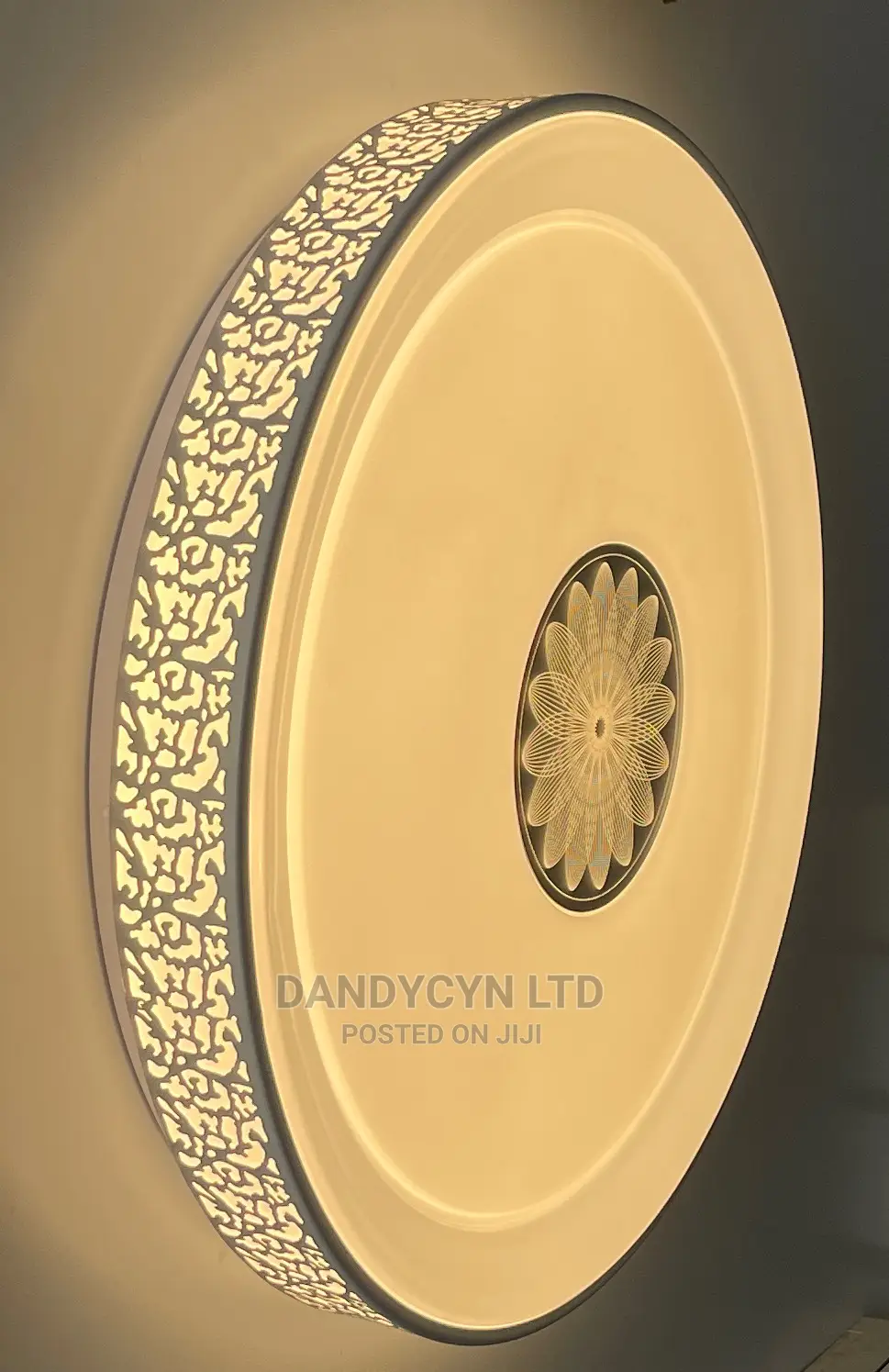 Led Ceiling Light 1039