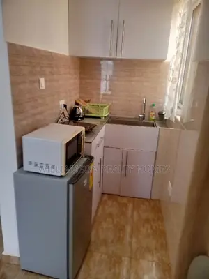 Furnished/Luxury 1 Bedroom Apt Spintex