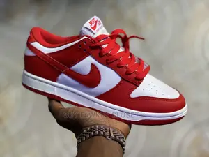 Nike Sb Low Dunks Pro