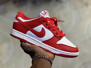 Nike Sb Low Dunks Pro