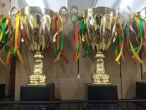 Award Trophies for Sale